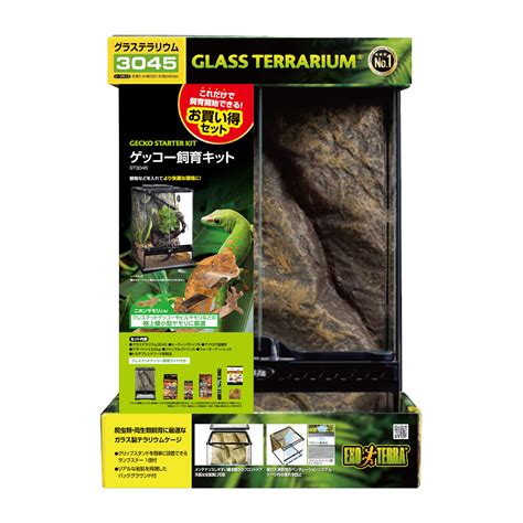 爬虫類 両生類 ヤモリ セット グラステラリウム クレステッドゲッコー