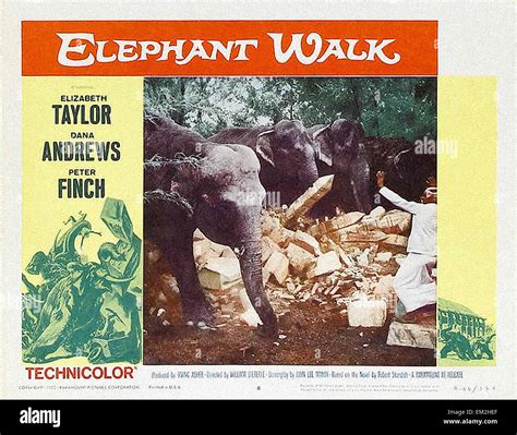 Elephant Walk - Movie Poster Stock Photo - Alamy