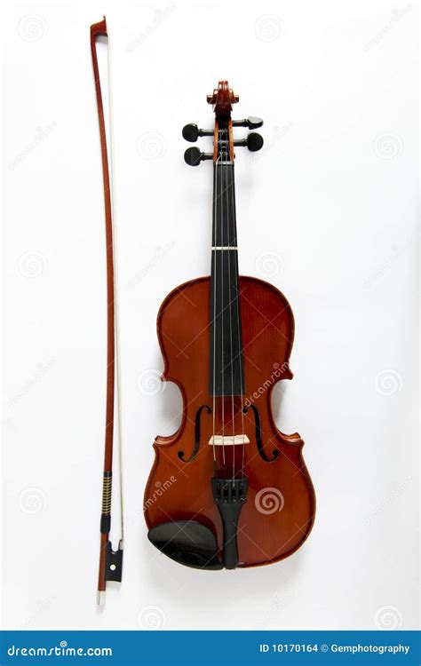 Viola stock photo. Image of stringed, instrument, musical - 10170164
