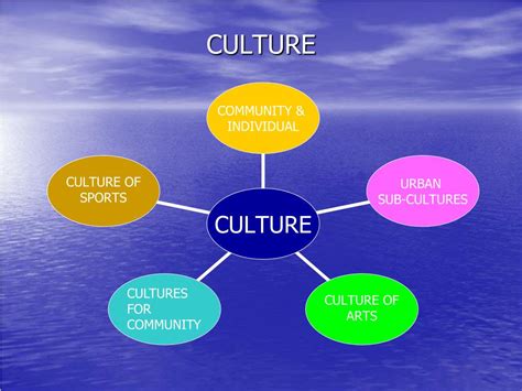 world culture是什么意思_学习力