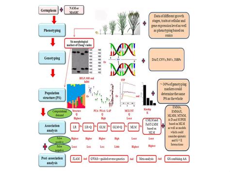 Image result for Association Mapping Applications