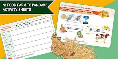 NI Food Farm to Pancake Activity Sheets