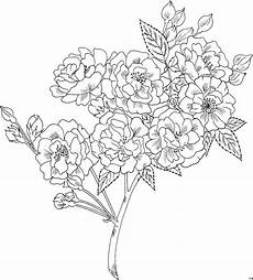 gratis malvorlagen blumen friscostrauss ausmalbild malvorlage blumen gratis malvorlagen blumen friscostrauss ausmalbild malvorlage blumen
