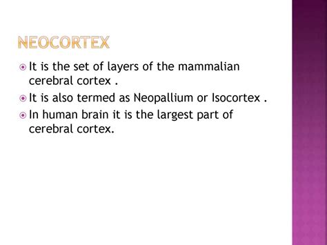 Image result for Neocortex Disorders