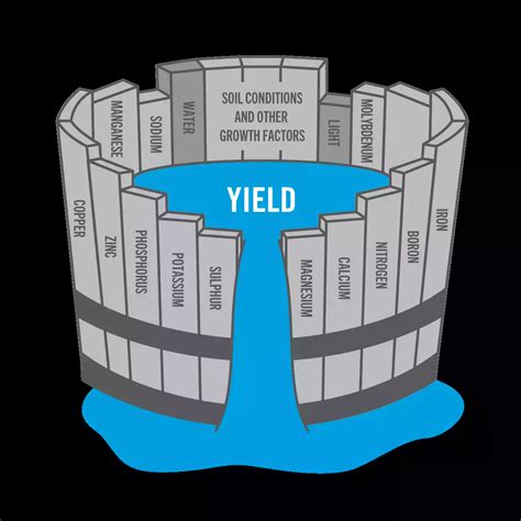 Liebig’s Barrel and Limiting Factors of Nutrients