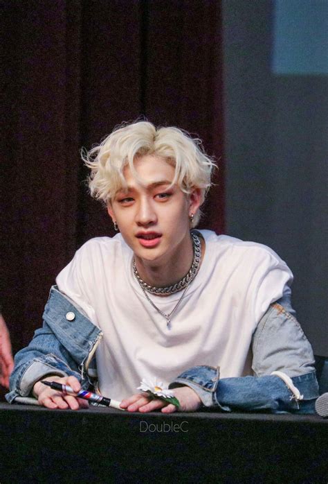 [01] ↳˳⸙ Biodata Stray Kids ˳ ️ - 🔗Bang Chan | Stray, Stray kids chan ...