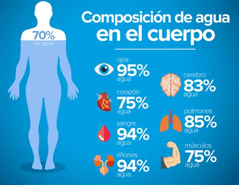 La Importancia de la Hidratación para un Rendimiento Óptimo