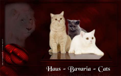 Tiere Kleinanzeigen | Tiere Annoncen | Tiere Inserate | Tiere ...