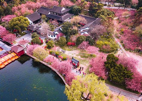 中国最美的春天在哪里？ - 知乎