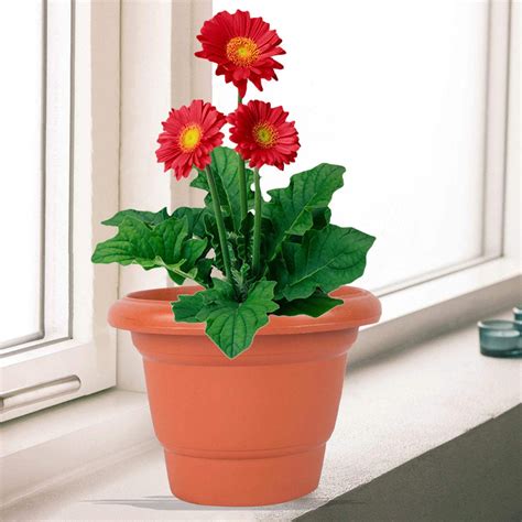 3864 Garden Heavy Plastic Planter Pot/Gamla - 14Inch (Brown, Pack of 1 ...