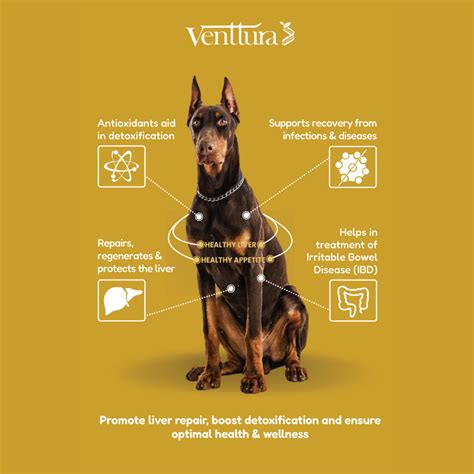 Buy Venttura Livo Plus Liver Supplement Syrup for Dogs Online | Supertails