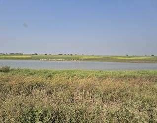 NMCG takes to Rejuvenate Nathmalpur Bhagad Wetland