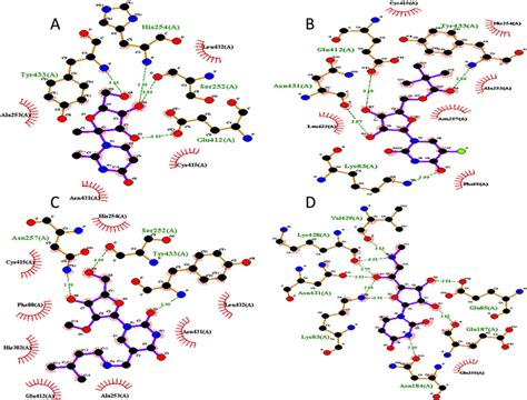 Image result for Ligplot Online Server