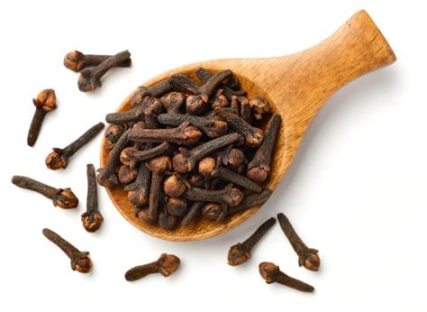 लौंग के फायदे, उपयोग और नुकसान – Cloves Benefits and Side Effects in Hindi