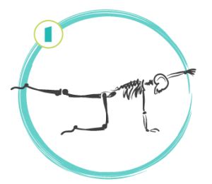 Image result for Contralateral Activities