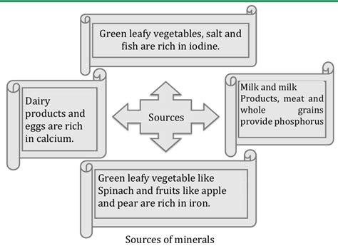 Science Components of Food 的图像结果