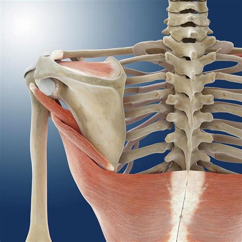 Image result for Java Main Basics