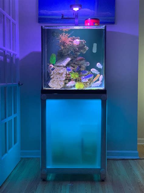 Aquarium Stand 25 Gallon at Missy Lynch blog