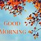 Image result for Free Animated Good Morning Spring