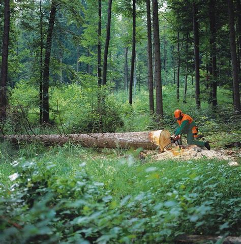 Image result for Fast Logging Equipment