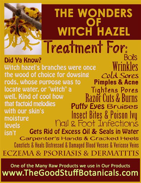Benefits Of Witch Hazel