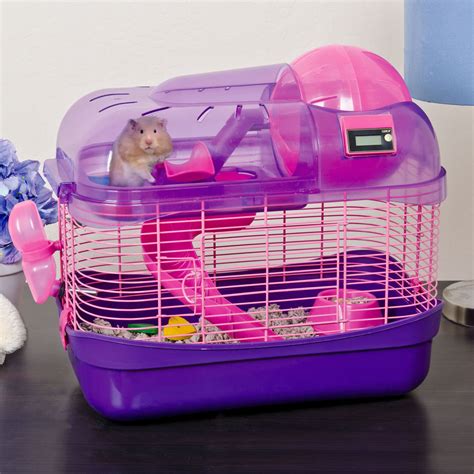 Ware Spin City Health Club Hamster Cage | Hamster cage, Small animal ...