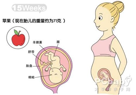 第一次拍 双胞胎孕33周4天 怀孕脸都变形了