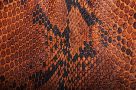 Image result for Pink Python Skin