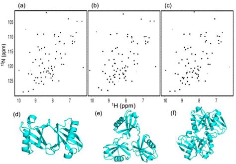 NMR Characterization of Conformational Interconversions of Lys48-Linked ...