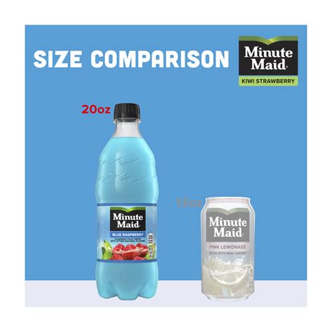 Buy Minute Maid Blue Raspberry Juice Drink Bottle, 20 fl oz from Dollar ...