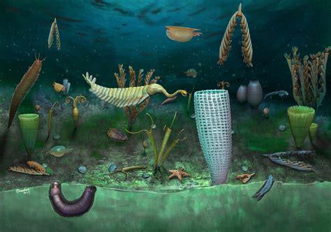 Ordovician Extinction Ordovician Stock Illustrationen, Vektoren,