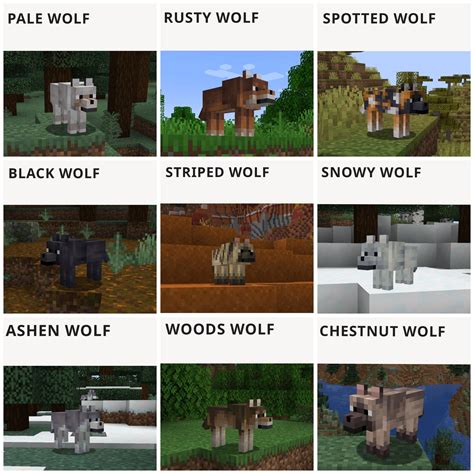 Discover the Different Types of Wolves in Minecraft
