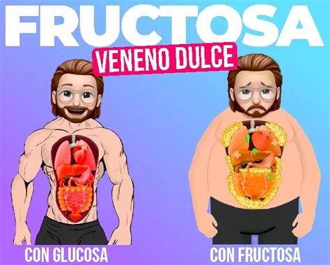 ¿Por qué la ciencia califica la fructosa como veneno dulce?