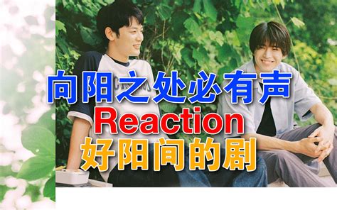 【向阳之处必有声】reaction第1—4集，阳间人就该看点阳间剧-睡懒觉De咩-睡懒觉De咩-哔哩哔哩视频
