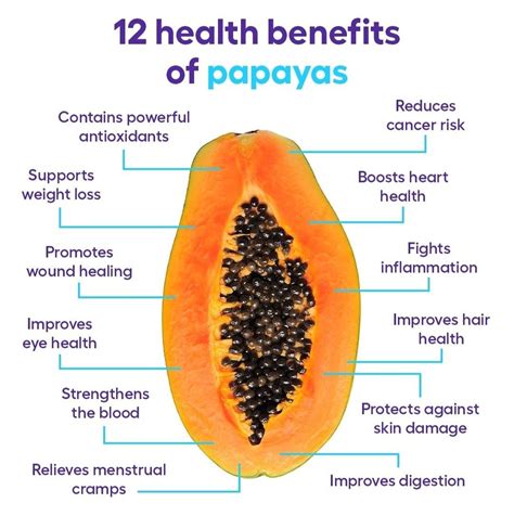 Best 12 Health benefits of papayas – Artofit