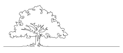 Image result for Simple Tree Line Drawing