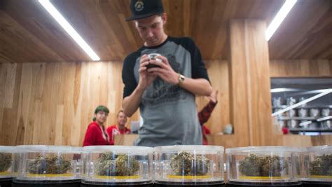 What could Florida marijuana market look like under Amendment 3?