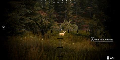 Image result for Hunting Sim 2