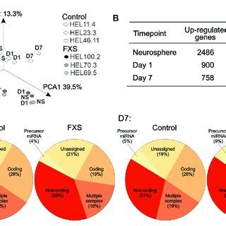 Image result for Transcriptome Analysis