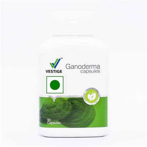 Vestige Food Products - Buy Vestige Food Products Online at Best Prices ...