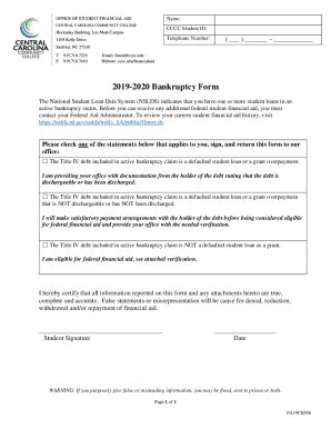 Fillable Online 2019-2020 Bankruptcy Form Fax Email Print - pdfFiller