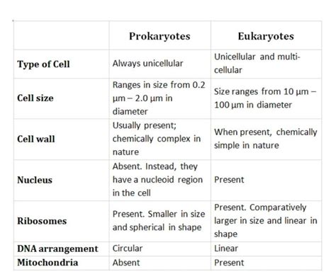 differentiate between prokaryotes and eukaryotes - Brainly.in