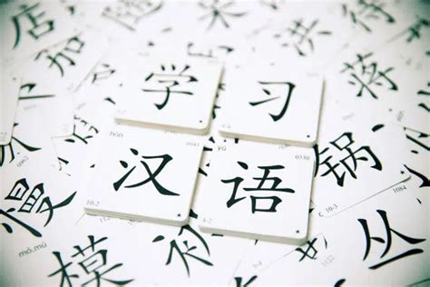 Logograph Examples 的图像结果