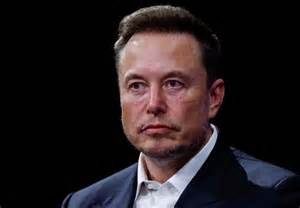 Image result for Elon Musk Programmes