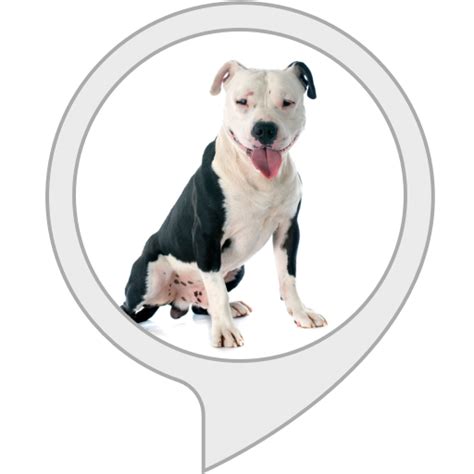 Amazon.in: Guard Dog Barking : Alexa Skills