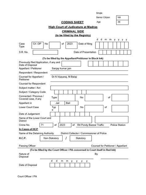 Coding Sheet Example 的图像结果