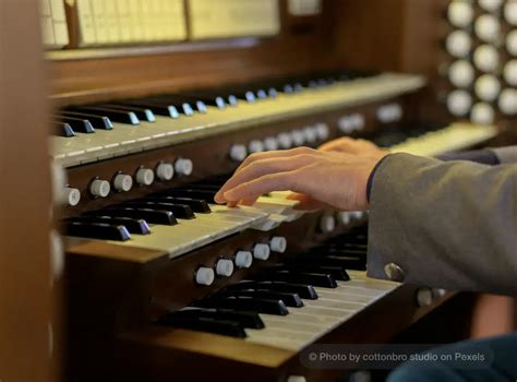 Image result for Types of Organs Instrument
