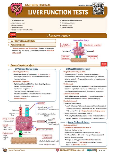 Image result for How to Assess Liver Function