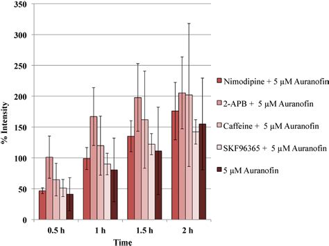 Auranofin, an Anti-Rheumatic Gold Compound, Modulates Apoptosis by ...