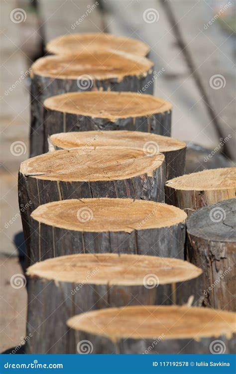 Image result for Cut Log